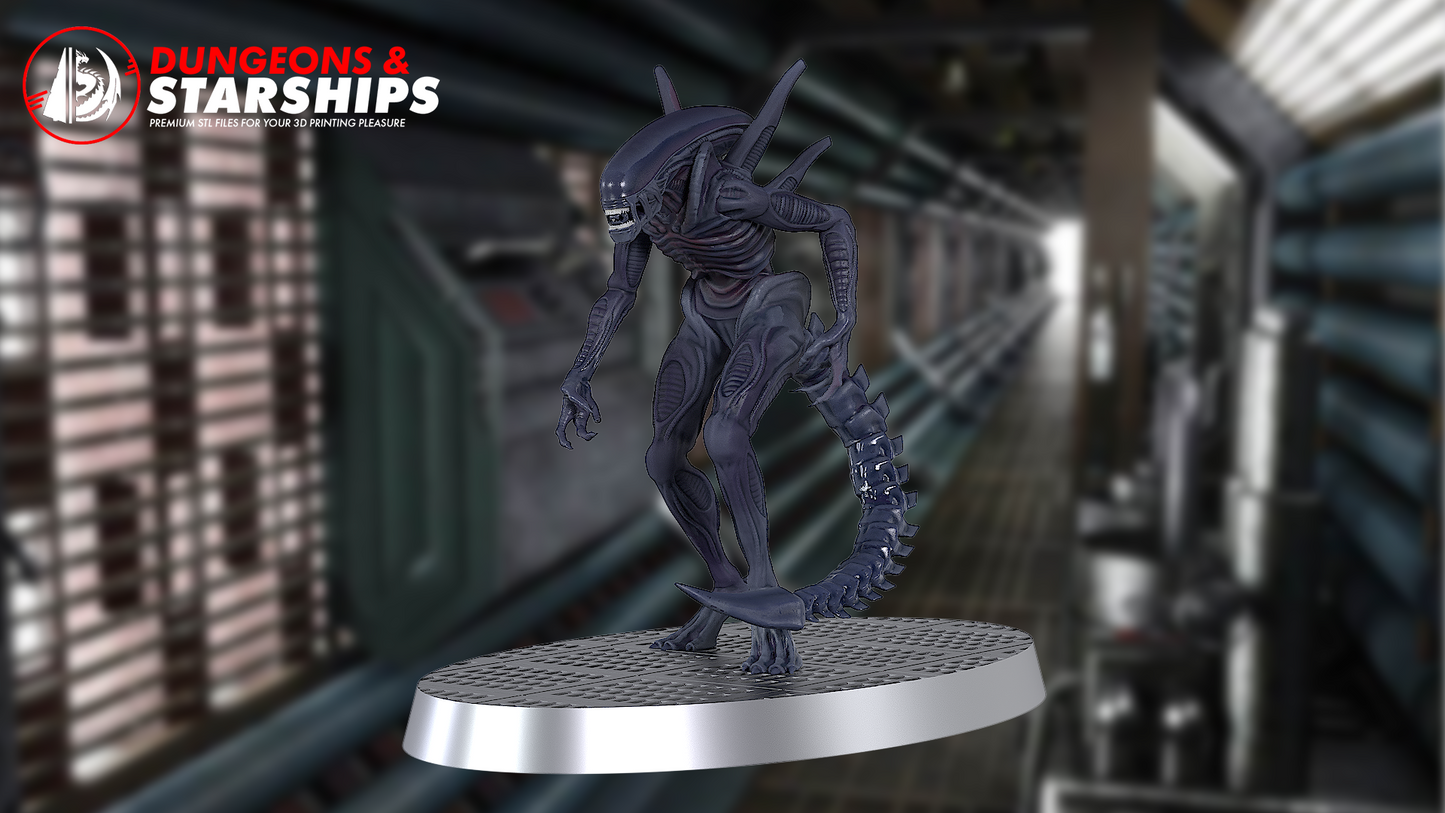 Xenomorph Miniatures - Aliens