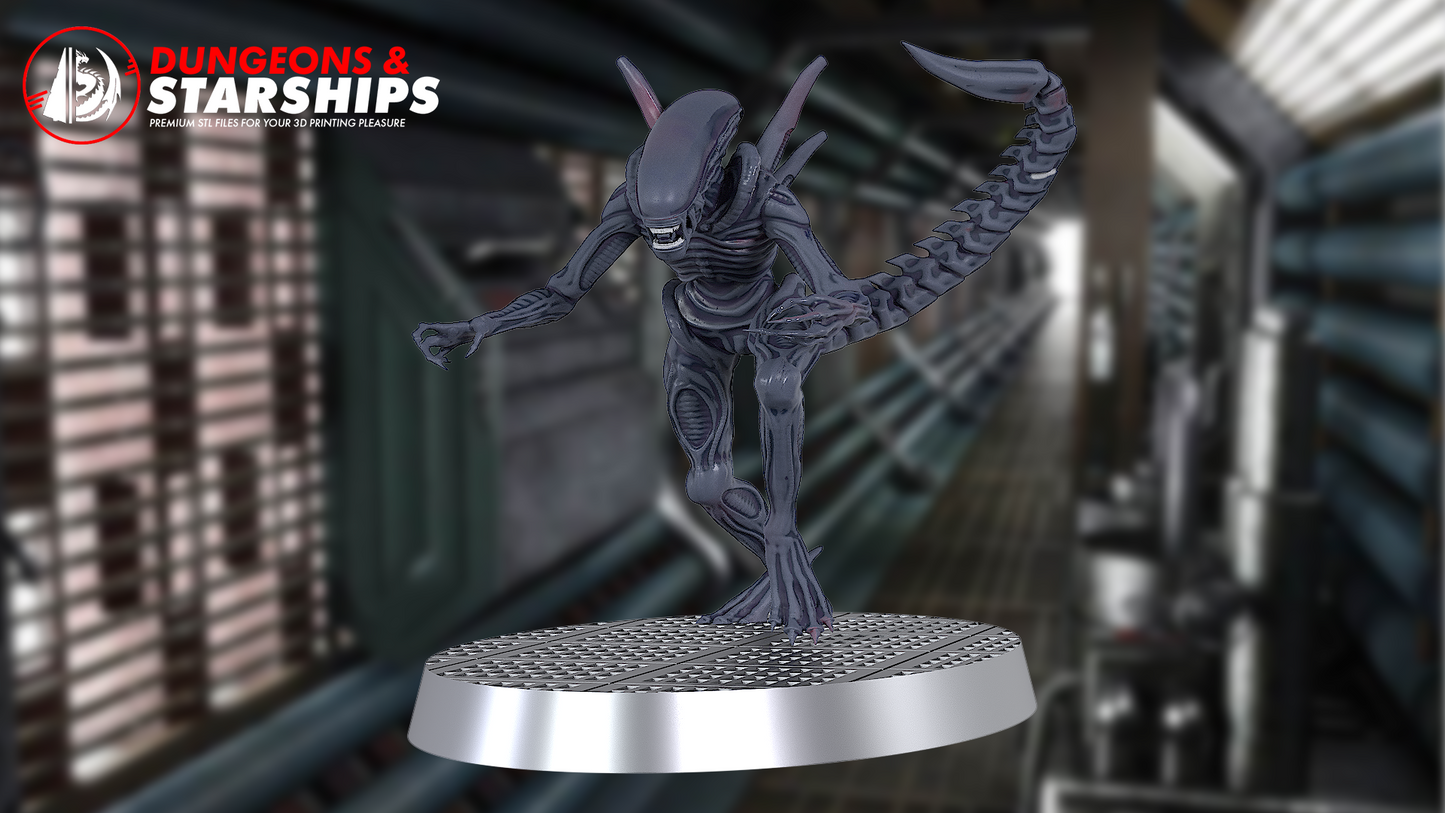 Xenomorph Miniatures - Aliens