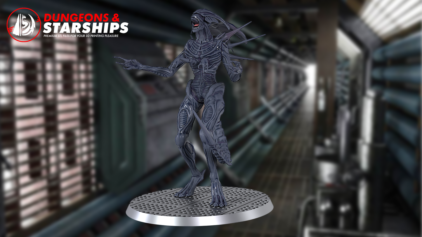 Xenomorph Miniatures - Aliens