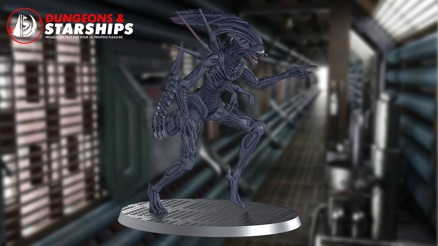 Xenomorph Miniatures - Aliens